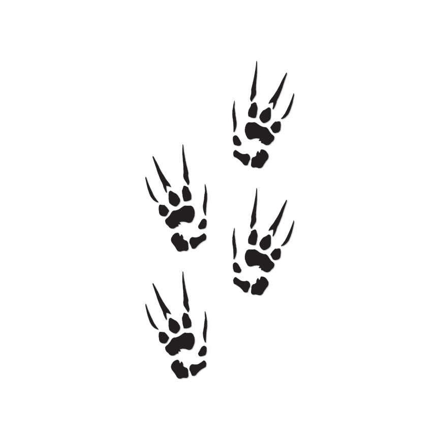 Dragon Prints Claw – Vinyl Decal Sticker – Multiple Color & Sizes – ebn225