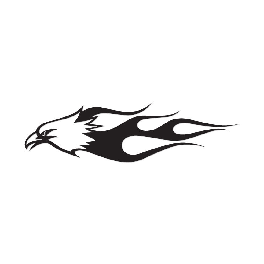Eagle Flame – Vinyl Decal Sticker – Multiple Color & Sizes – ebn250