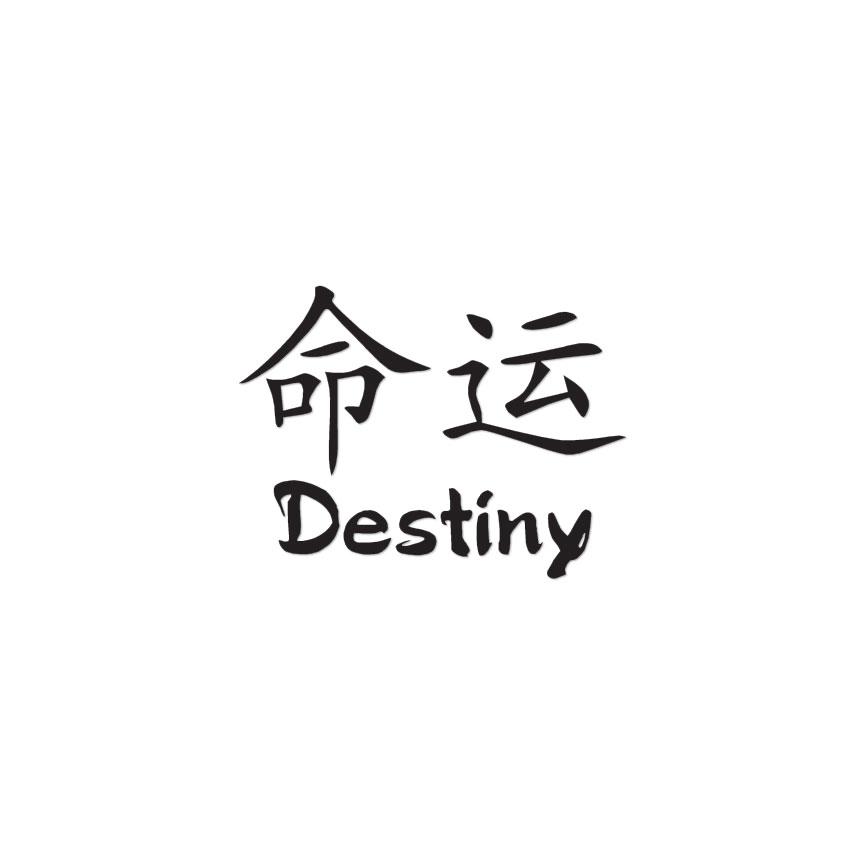 Destiny Chinese Symbols – Decal Sticker – Multiple Colors & Sizes – ebn2599