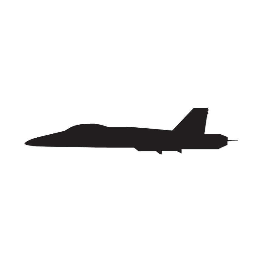 Fighter Jet – Vinyl Decal Sticker – Multiple Colors & Sizes – ebn2832
