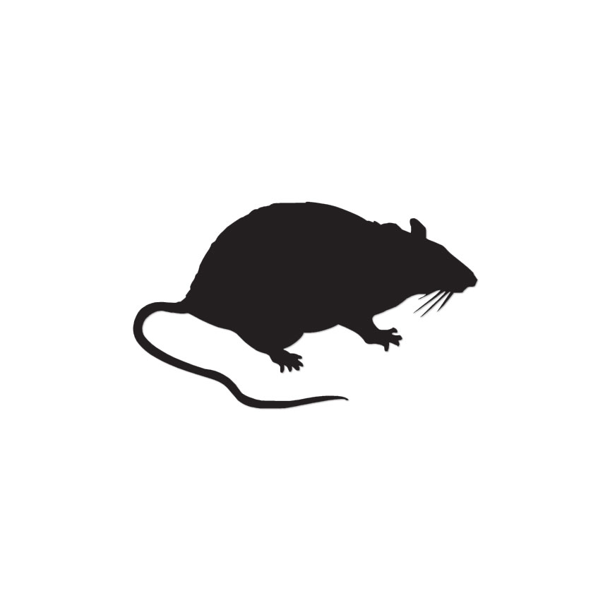 Mouse Vermin Rat – Vinyl Decal Sticker – Multiple Colors & Sizes – ebn2842