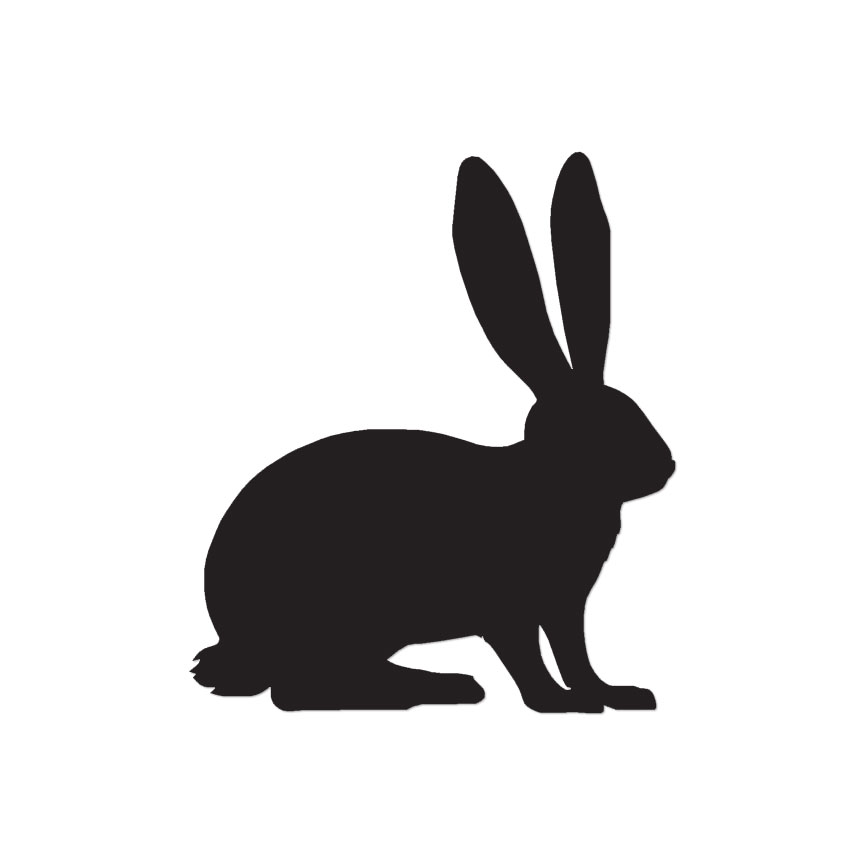 Bunny Rabbit – Vinyl Decal Sticker – Multiple Colors & Sizes – ebn2846