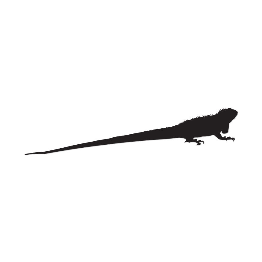 Iguana Lizard Reptile – Vinyl Decal Sticker – Multiple Colors & Sizes – ebn2855