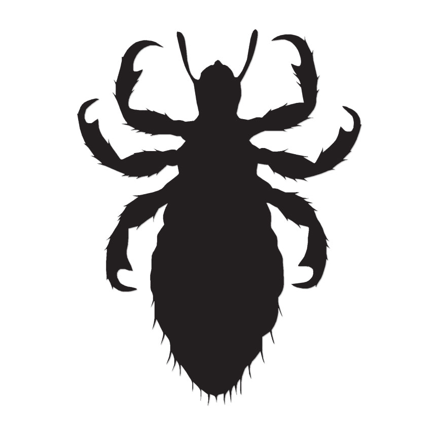 Flea Insect Bug – Vinyl Decal Sticker – Multiple Colors & Sizes – ebn2891