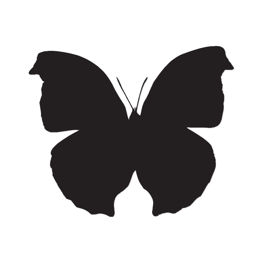 Moth Bug Pest – Vinyl Decal Sticker – Multiple Colors & Sizes – ebn2918