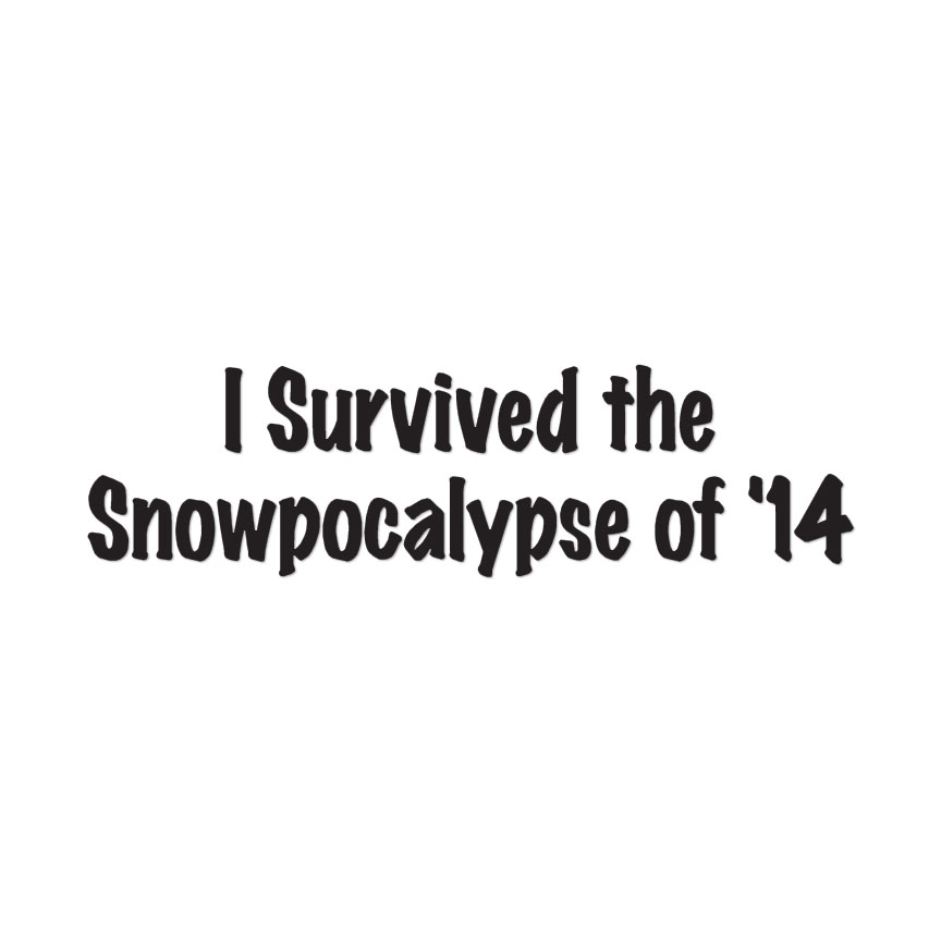 Survived Snow Apocalypse – Decal Sticker – Multiple Colors & Sizes – ebn3195