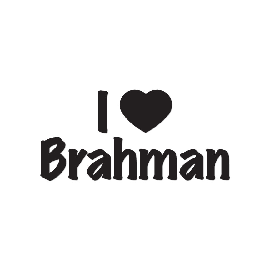 I Love Brahman Heart Hindu – Decal Sticker – Multiple Colors & Sizes – ebn3510