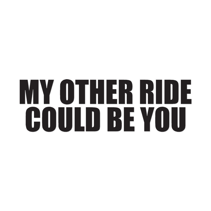 Other Ride Could Be You – Decal Sticker – Multiple Colors & Sizes – ebn3561