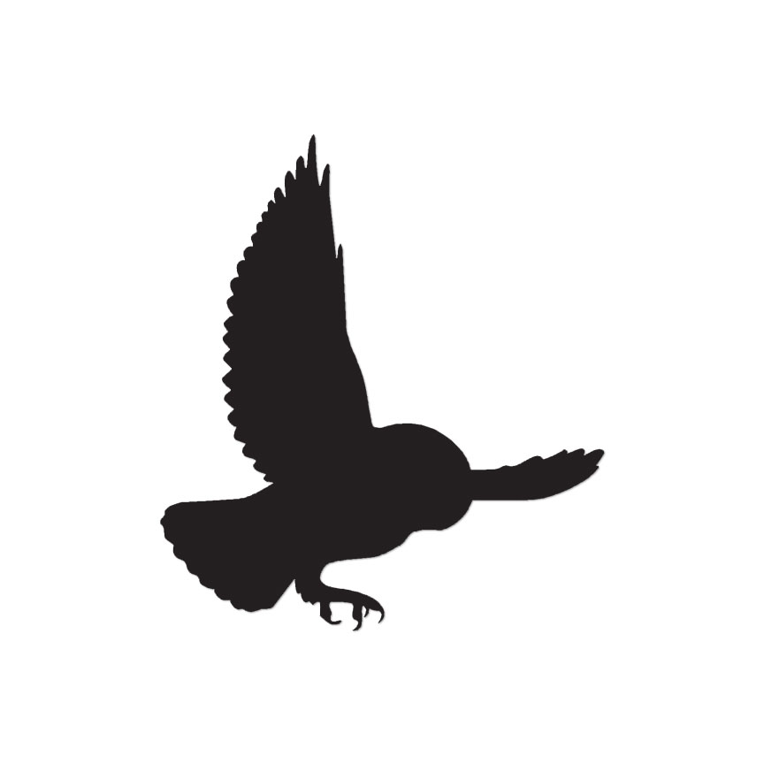 Owl Screeching Barb – Vinyl Decal Sticker – Multiple Color & Sizes – ebn494