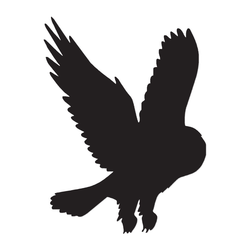 Barn Owl Screeching – Vinyl Decal Sticker – Multiple Color & Sizes – ebn495
