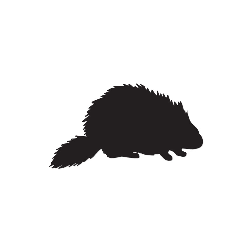 Porcupine Beaver – Vinyl Decal Sticker – Multiple Color & Sizes – ebn541