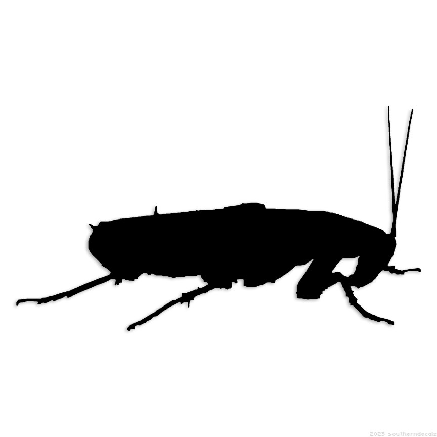 Cockroach Roach – Decal Sticker – Multiple Colors & Sizes – ebn6057