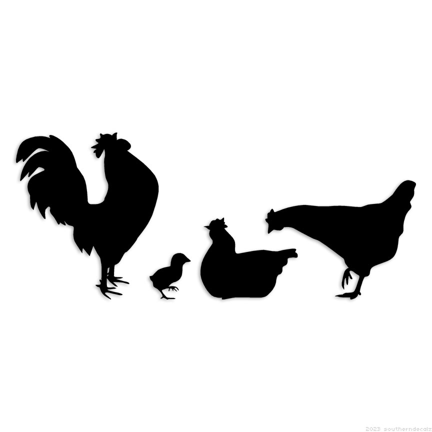 Chickens Rooster Chick – Decal Sticker – Multiple Colors & Sizes – ebn6432