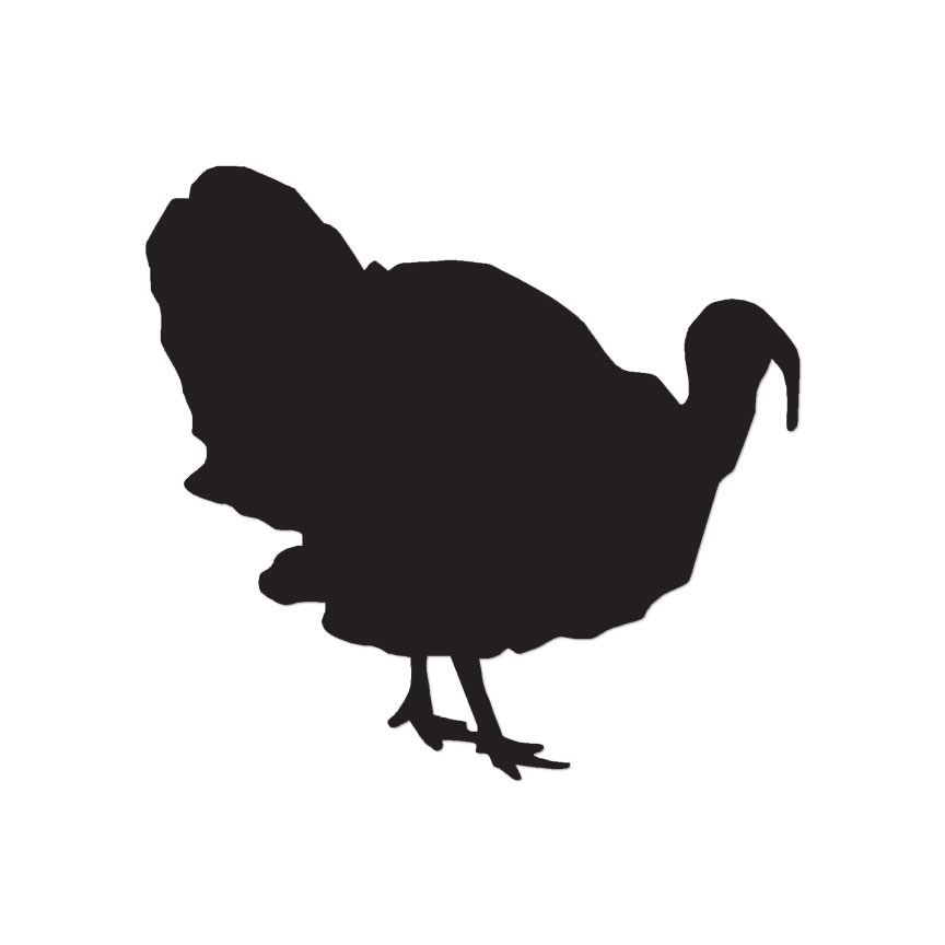 Wild Turkey Poultry Bird – Decal Sticker – Multiple Color & Sizes – ebn746