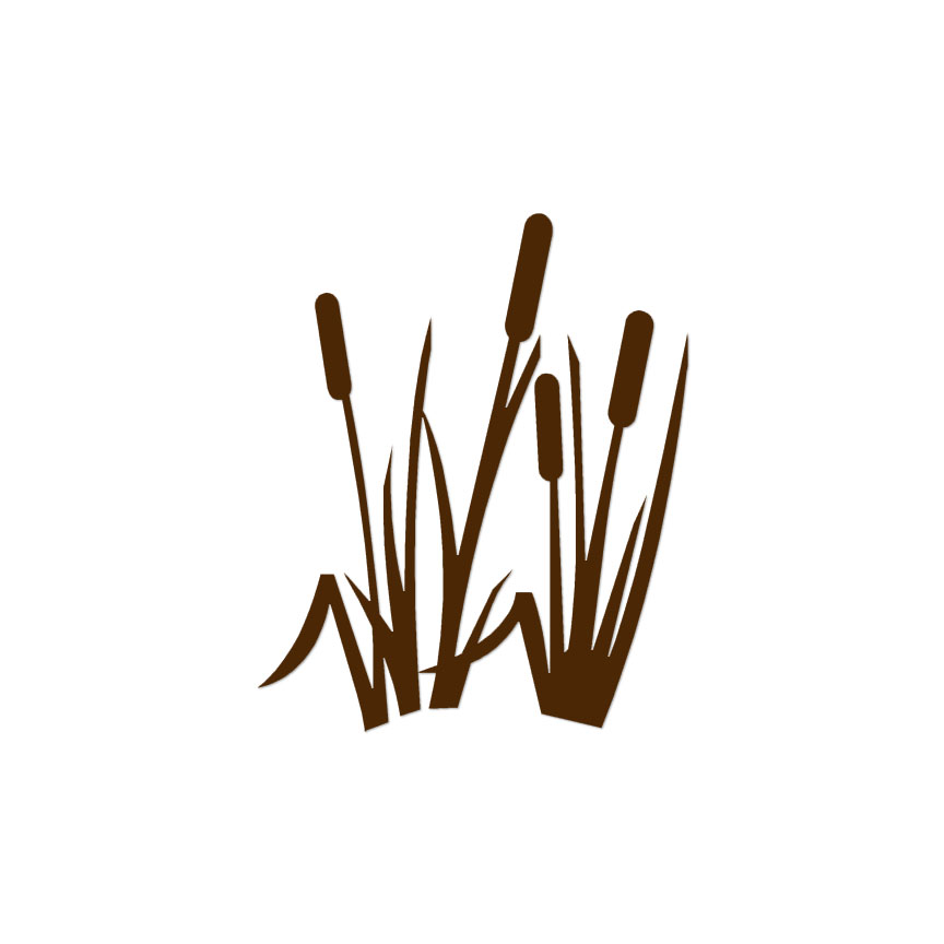 Planta acuática Typha Cattails - pegatina calcomanía - múltiples colores y tamaños - ebn3868 - Imagen 4 de 20