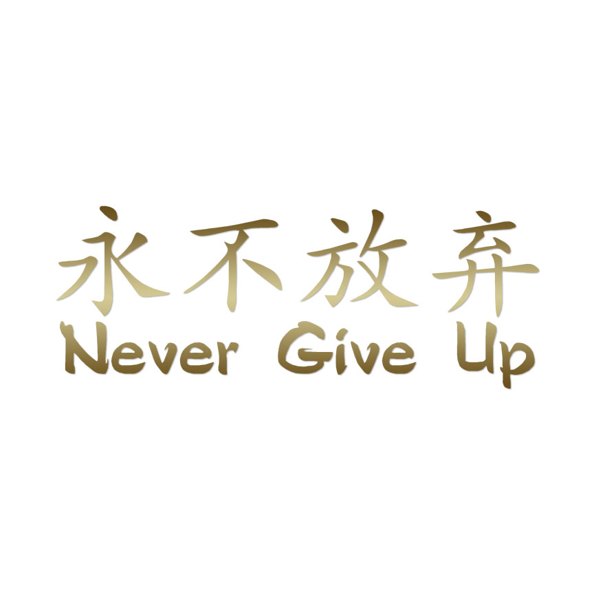 Never Give Up Japanese Kanji Sticker for Sale by ZENclothing  Redbubble