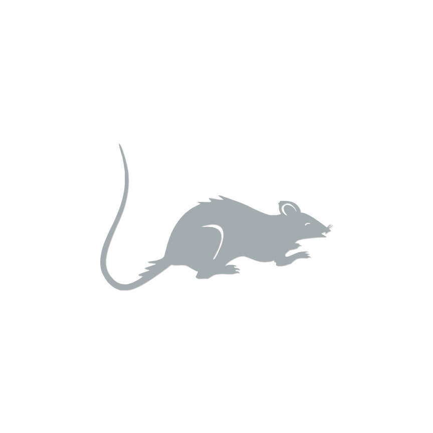 Rat Mouse - Vinyl Decal Sticker - Multiple Color & Sizes - ebn561 | eBay