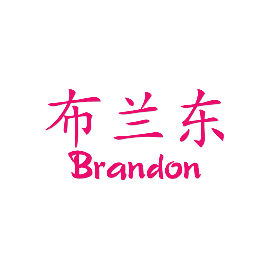 Chinese Symbol Brandon Name - Decal Sticker - Multiple Colors & Sizes -  ebn2154