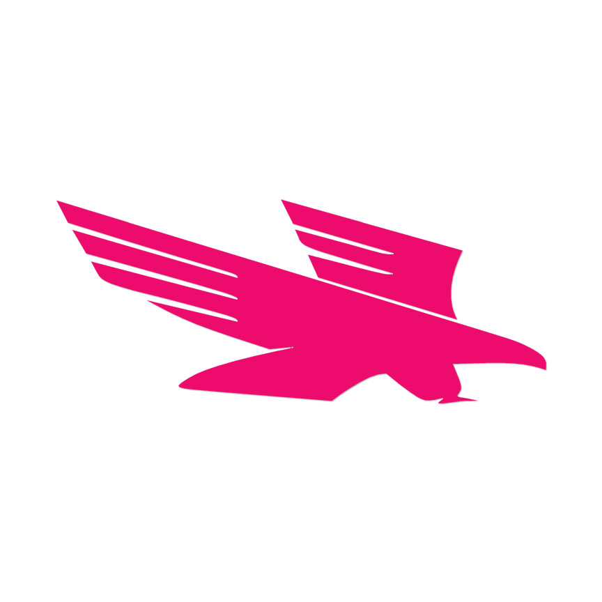 Indigos UG Sticker - Adesivo per auto - JDM - Die Cut - Flying FALCON - 105 X 149 mm