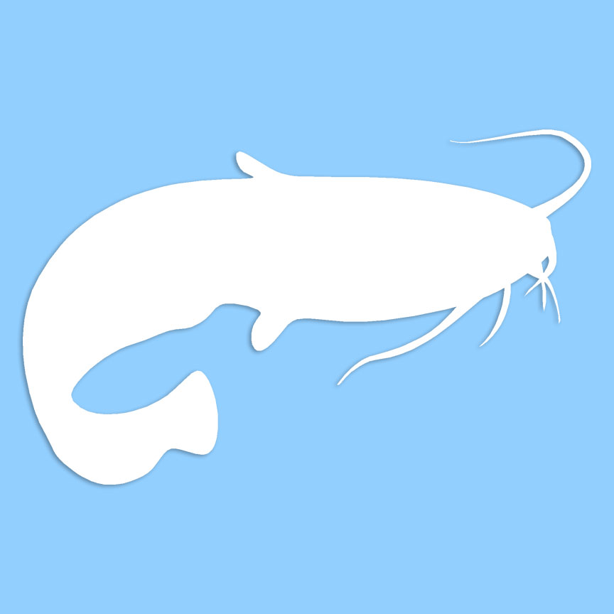 Catfish - Decal Sticker - Multiple Colors & Sizes - ebn6017