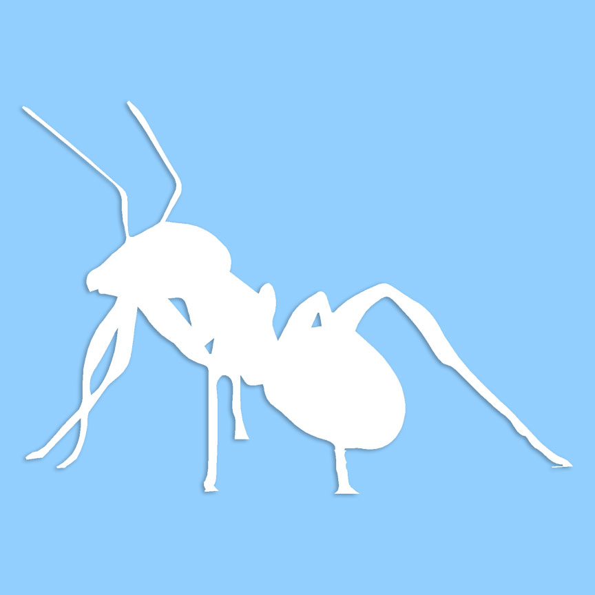 Ant Web Sticker Ant - Decal Sticker - Multiple Colors & Sizes - ebn6794 | eBay