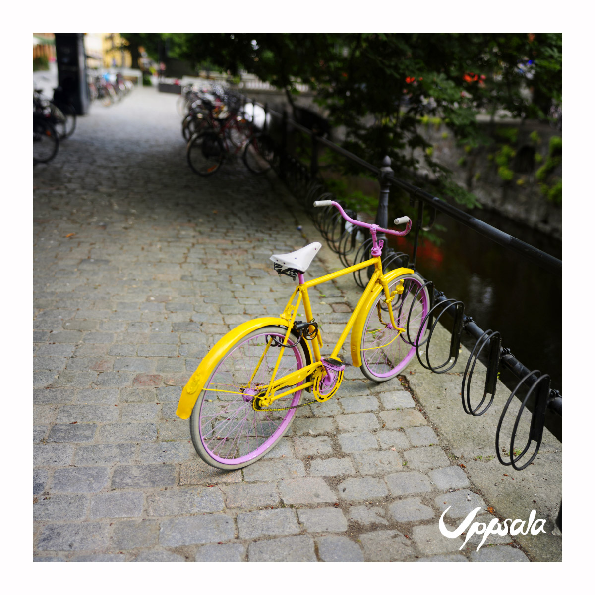 Cykel vid Fyrisån