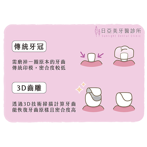 牙齒的一生
