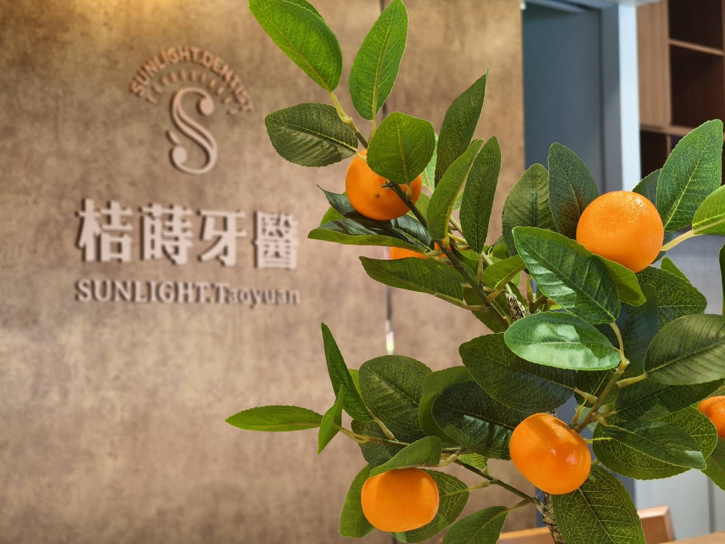 桔蒔美學牙醫診所環境照1