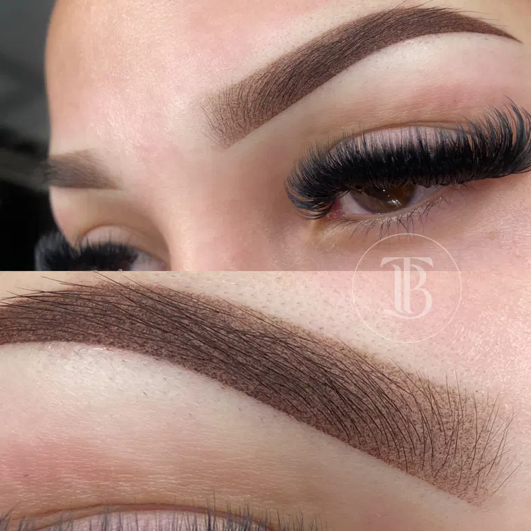 Close-up of bold ombré powder brows with a crisp arch and softly shaded fronts.