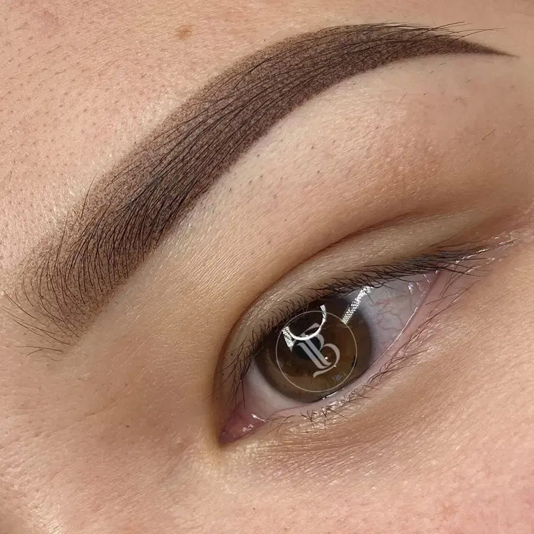Defined ombré brows with lifted arches and a softly blended front.