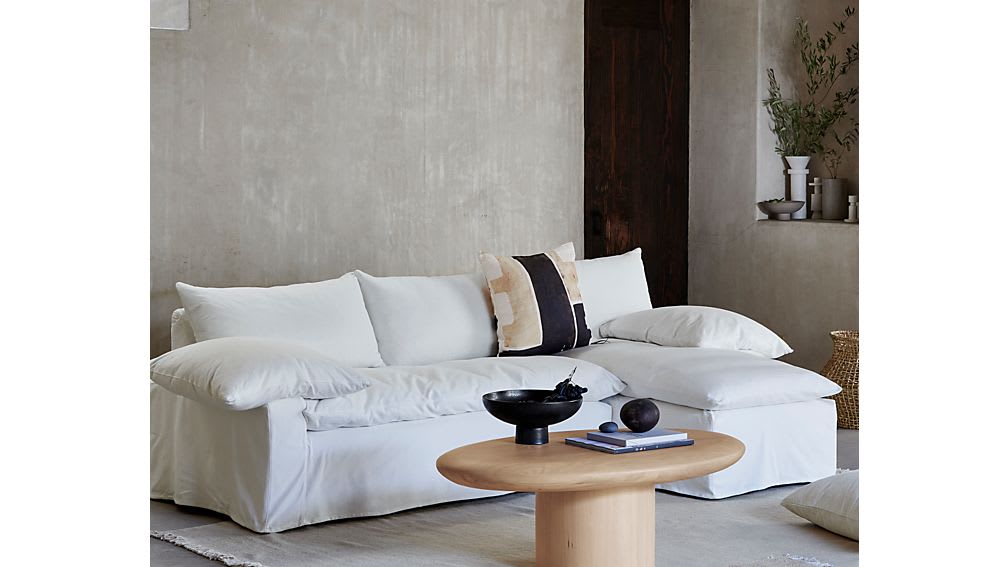 Crate and 2024 barrel magritte sofa