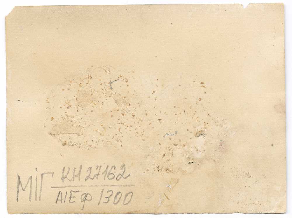 Фото весільного гурту