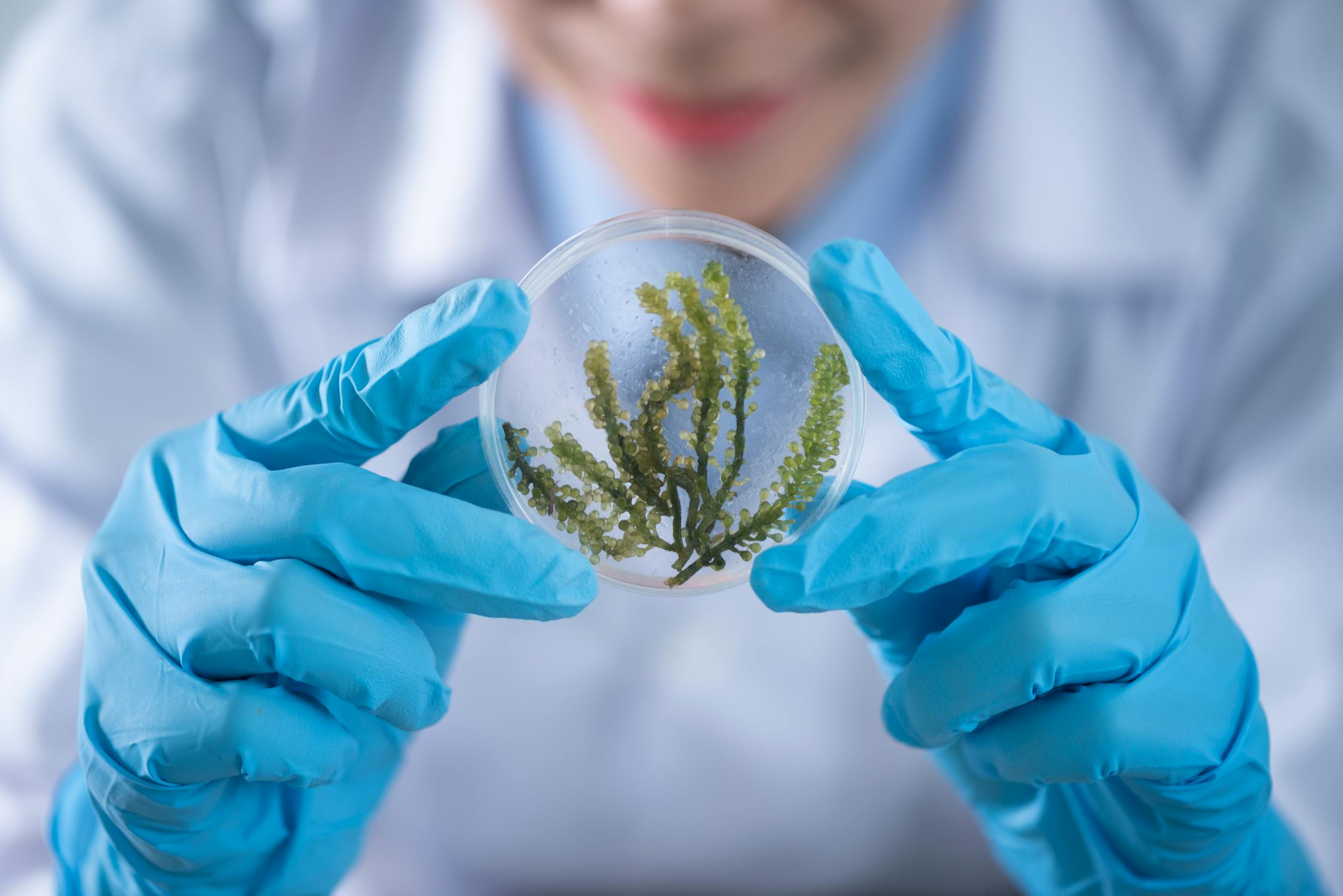 Scienze Biologiche