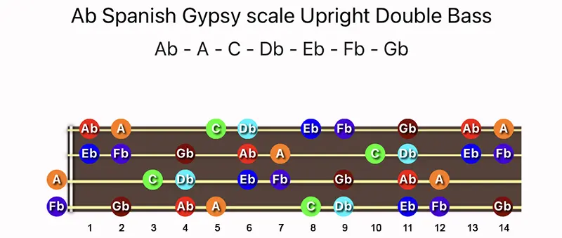 A♭ Spanish Gypsy scale notes on a Upright Double Bass