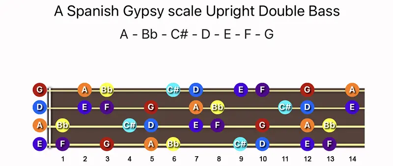 A Spanish Gypsy scale notes on a Upright Double Bass