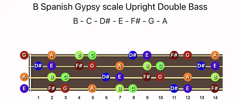 B Spanish Gypsy scale notes on a Upright Double Bass