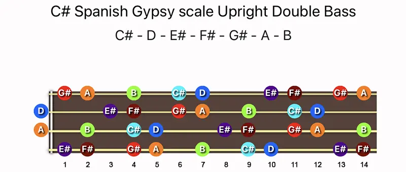 C♯ Spanish Gypsy scale notes on a Upright Double Bass