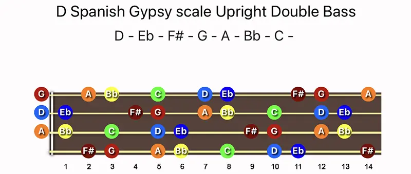 D Spanish Gypsy scale notes on a Upright Double Bass