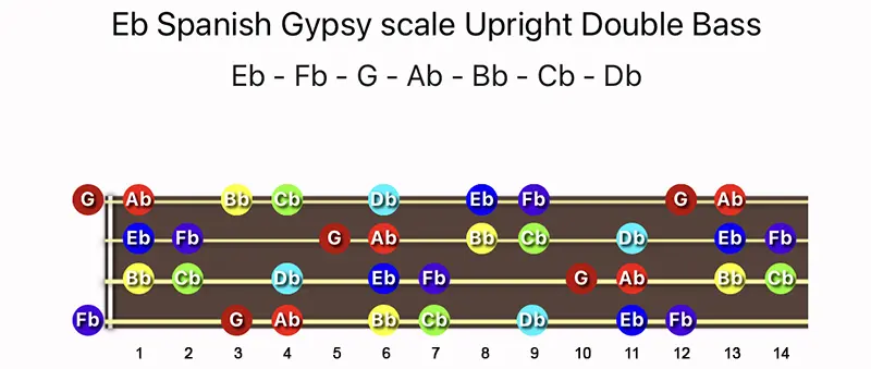 E♭ Spanish Gypsy scale notes on a Upright Double Bass