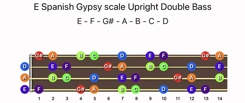 E Spanish Gypsy scale notes on a Upright Double Bass