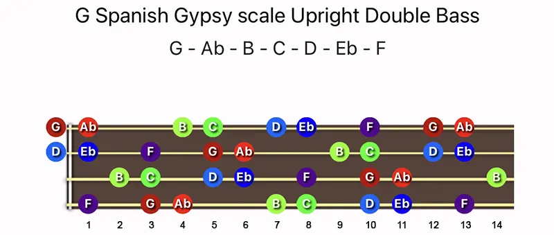 G Spanish Gypsy scale notes on a Upright Double Bass