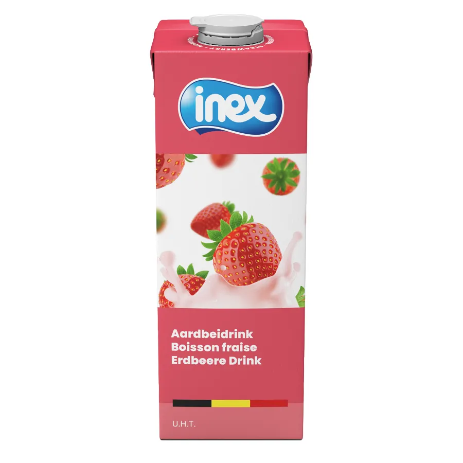 INEX AARDBEIDRINK BRICK