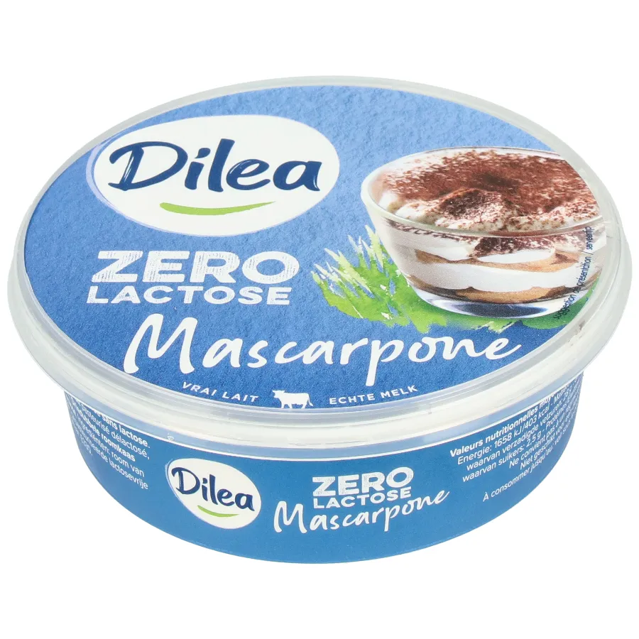 DILEA ZERO LACTOSE MASCARPONE