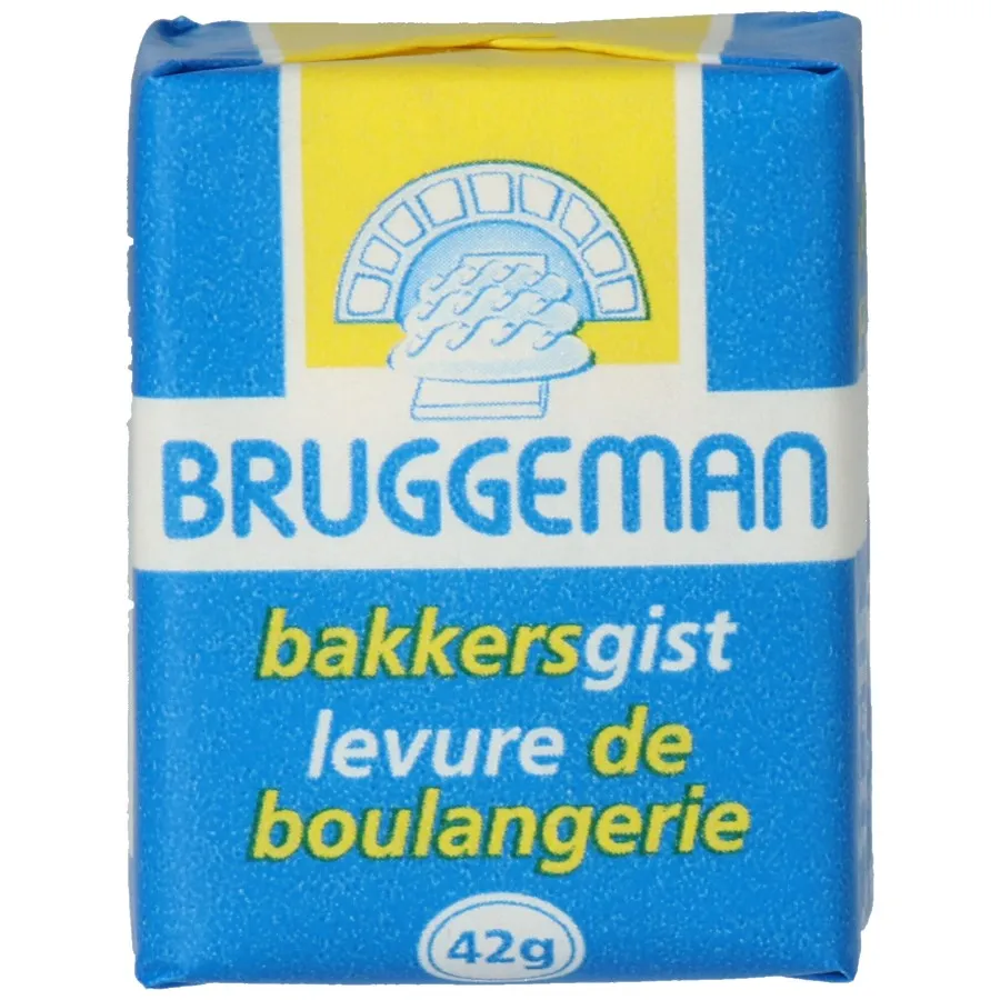 BRUGGEMAN VERSE GIST