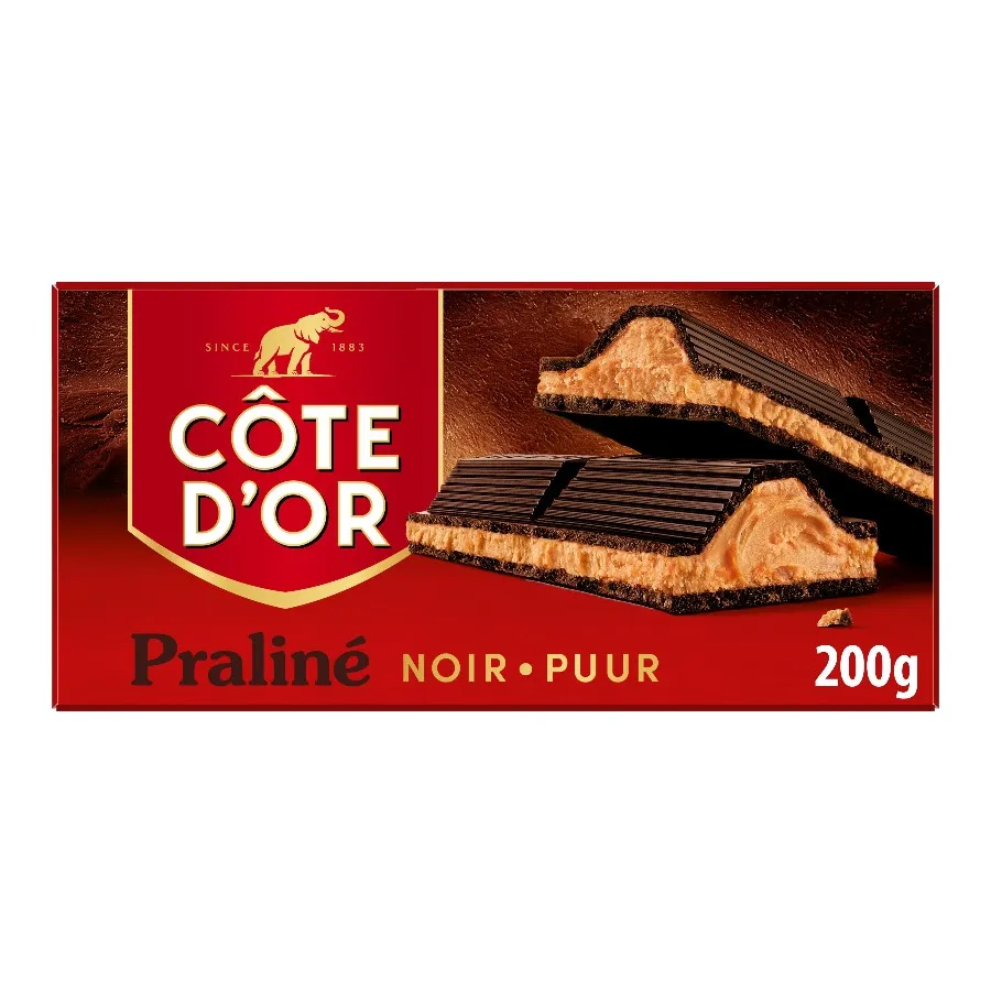 CÔTE D'OR PRALINÉ PUUR