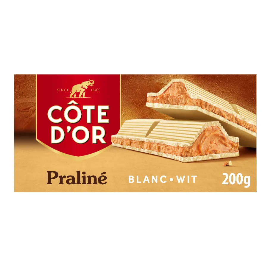 CÔTE D'OR PRALINE WIT