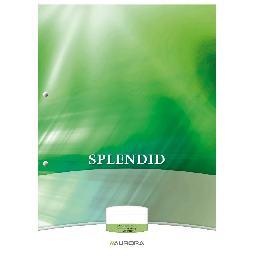 SPLENDID CURSUSBLOK MET LIJNTJES - 100 BLADZIJDEN
