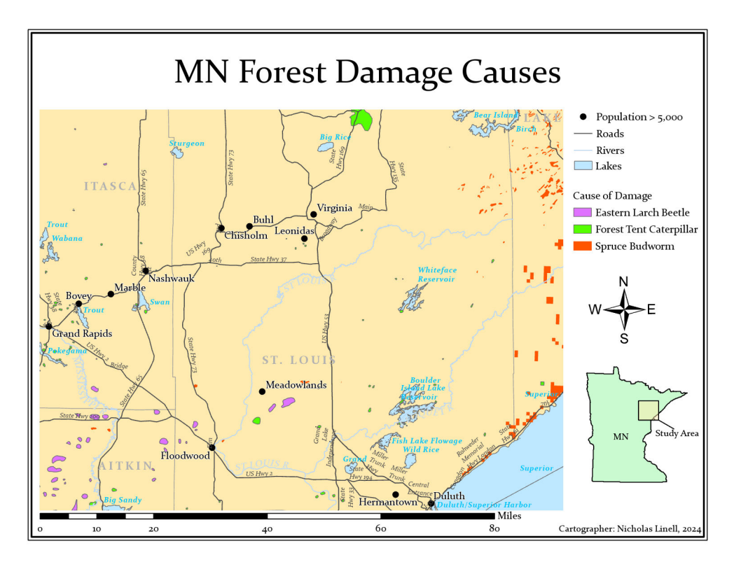 Mn Exploding Tree Risk MN Forest Damage Causes | Spatialnode