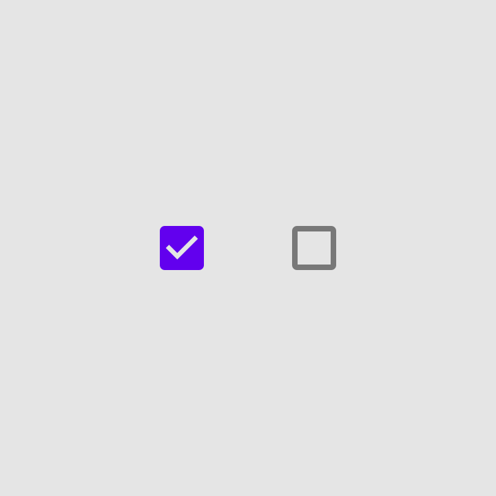 Two checkboxes. One is selected and the other is unselected.