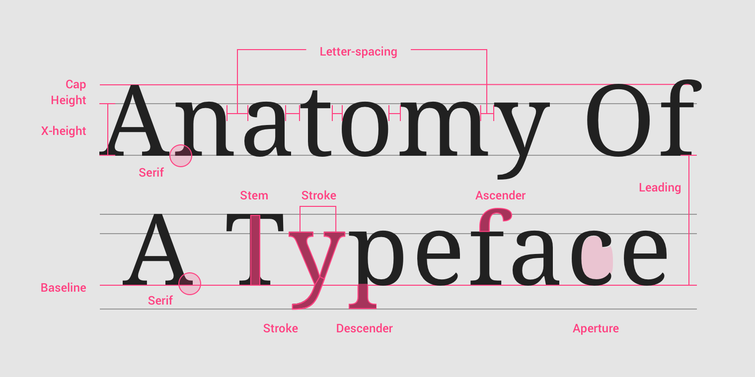 Detailed characteristics of a typeface